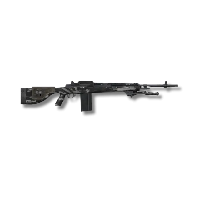 M14 DMR