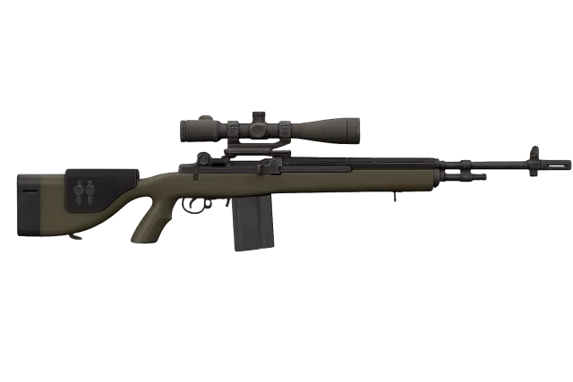 DMR